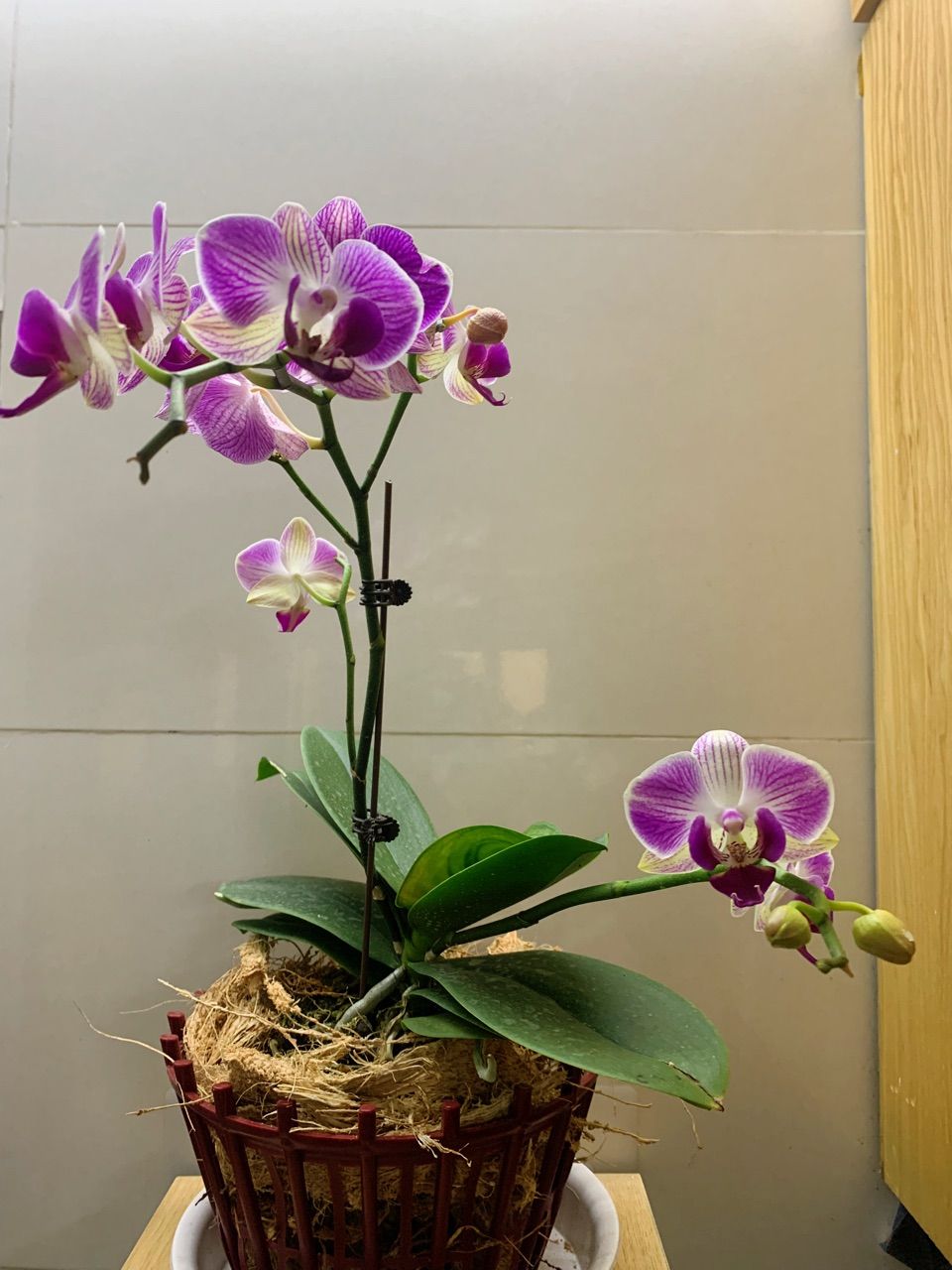 vn-11134103-820l4-mhxajwvqwd1e38