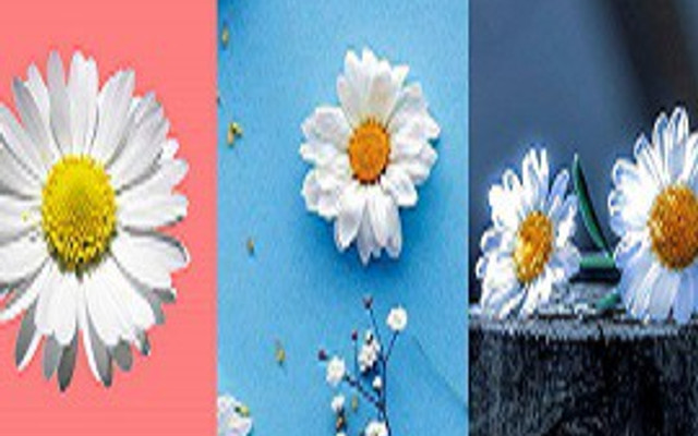 Nhung Test Điện Biên Food - self deli 1