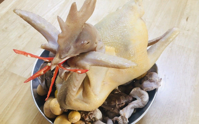 Gà Ta Sơn Ca - Gà Cúng, Gỏi, Cơm & Cháo