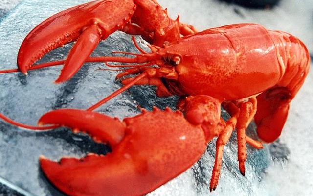 Cơm Chiên & Miến Xào - Hải Sản Rạn Biển