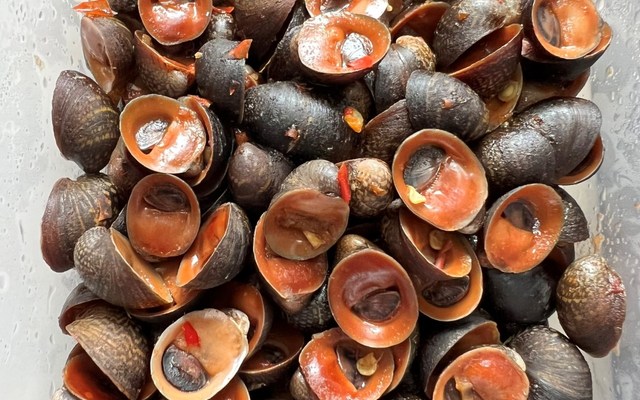 Ốc Dừa Hạnh - Nguyễn Cảnh Chân