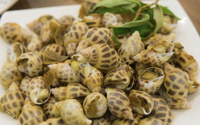 Ốc Đêm 30K - Trần Quang Cơ