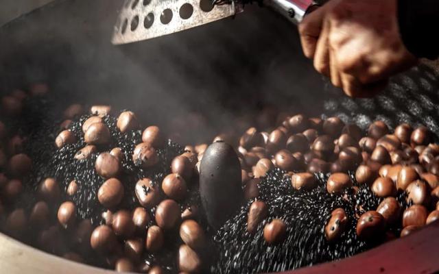 Mèo Hạt Dẻ Q1 - 1A Công Trường Mê Linh