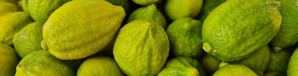 Trà Chanh Giã Tay Quảng Đông & Bánh Đồng Xu Chú Mập