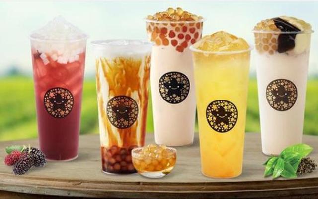 Trà Sữa Toco Toco - Hoàng Lê Kha