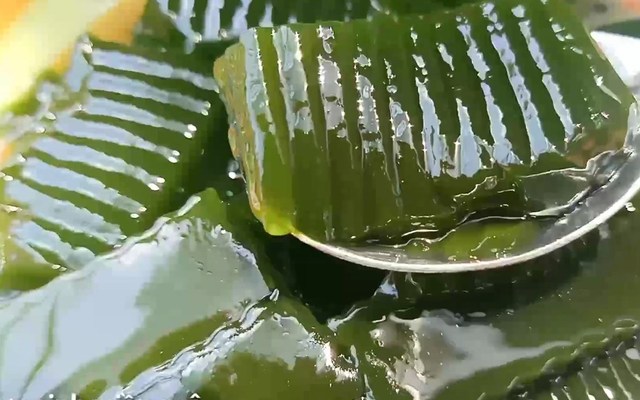 Sương Sâm Bà Béo - Sương Sáo, Xu Xoa & Tàu Hủ