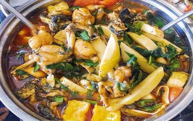 Lẩu Ếch Tuấn Béo - Lẩu Gà, Bánh Mỳ & Nước Ép - Nguyễn Ngọc Vũ