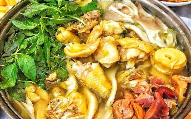 Lẩu Gà Lá É Phú Yên - Quán Anh Thư - 121A Hoàng Sa