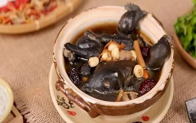 Gà Ác Tiềm An An - Phan Huy Ích