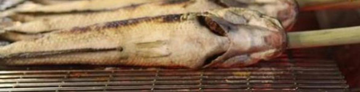 Cá Lóc Nướng Tây Nam