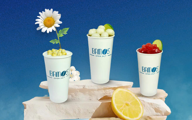 BAMOS 24H - Linh Trung