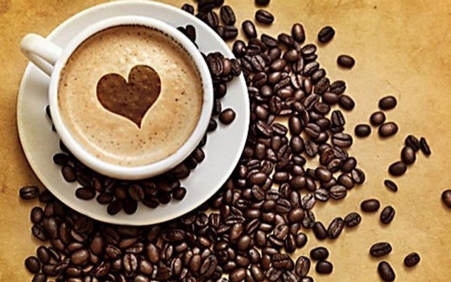 Zippo Coffee - Hóc Môn