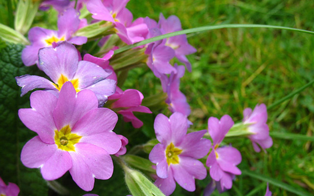TEST - Trà sữa Seven - Trần Quốc Thảo (old wallet)