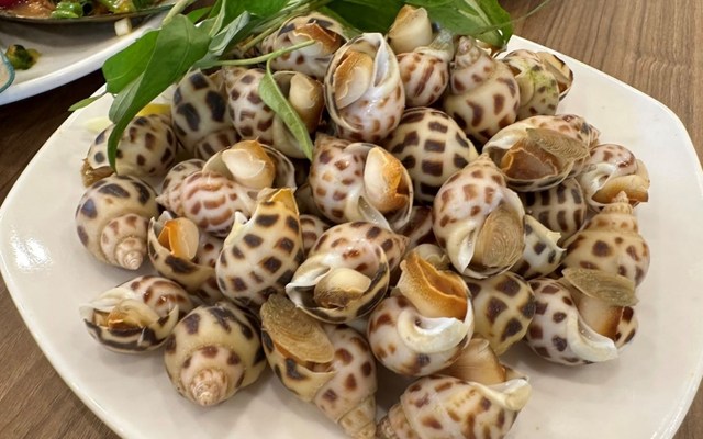 Ốc O.C - Nguyễn Văn Khối