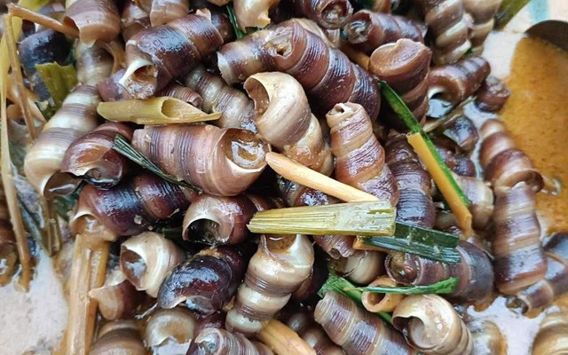 Ốc Nha Khoa - Võ Văn Tần