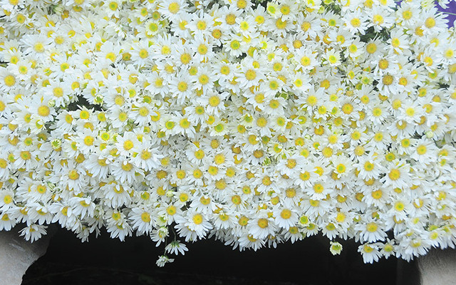 Nhung Tester food - Super admin test wallet mart - 3