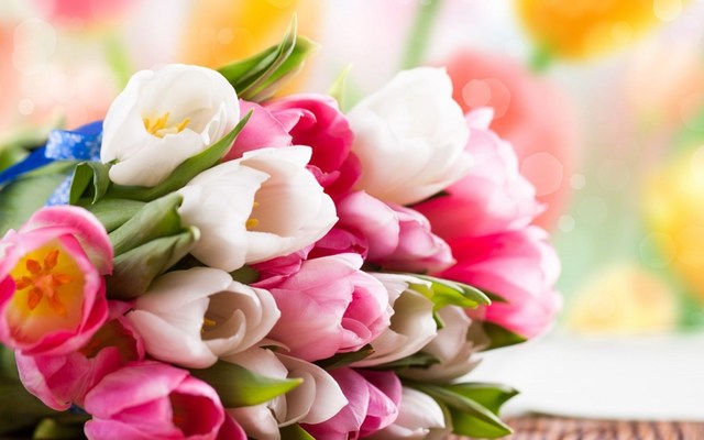 TEST - Hồng Trà Phổ Nhĩ (PMO)