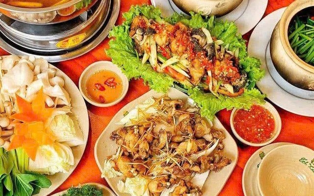 Ếch Xanh Quy Nhơn - Lô 03 Trương Văn Của