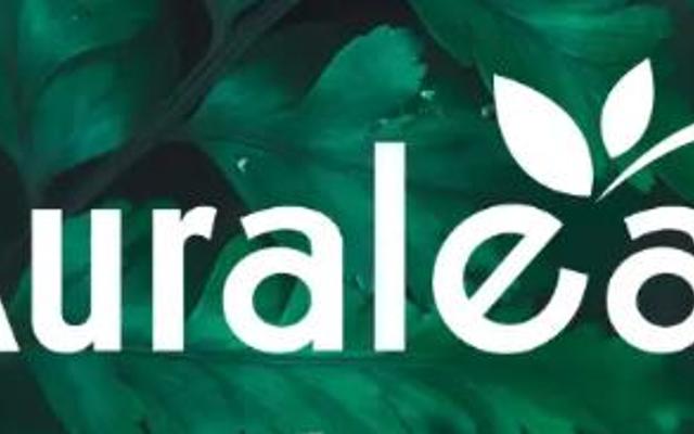 Trà Nhật Auraleaf