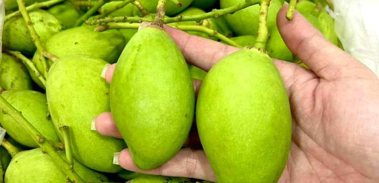 Đồ Ăn Vặt, Nước Uống Các Loại & Trái Cây Tươi Cắt Sẵn