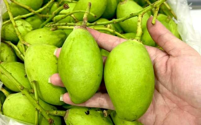 Đồ Ăn Vặt, Nước Uống Các Loại & Trái Cây Tươi Cắt Sẵn