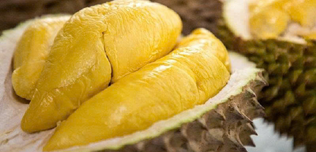 Sầu Riêng - Vua Sầu - Sầu Sạch Chuẩn Việt CS1