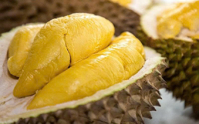 Sầu Riêng - Vua Sầu - Sầu Sạch Chuẩn Việt CS1
