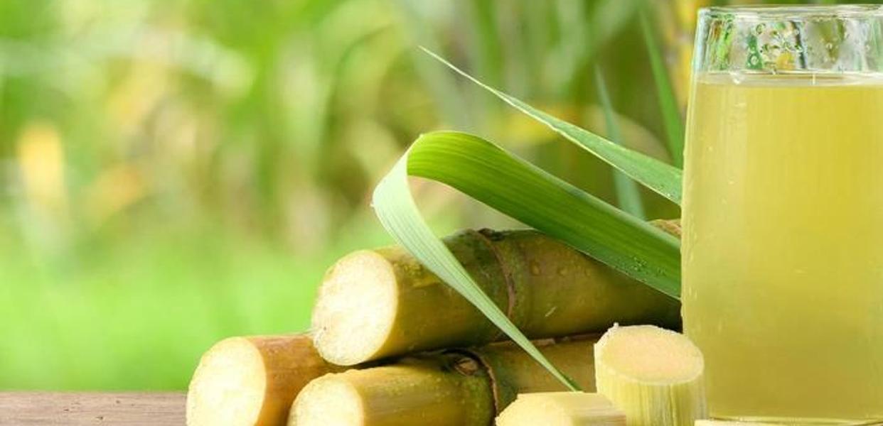 Gỏi Cuốn, Nước Mía & Nước Dừa Bé Bống