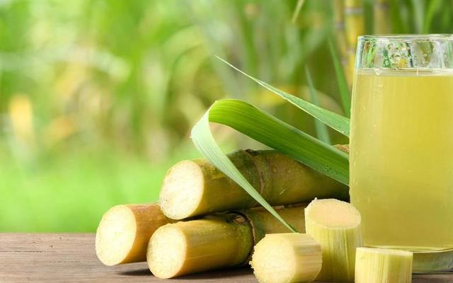 Gỏi Cuốn, Nước Mía & Nước Dừa Bé Bống