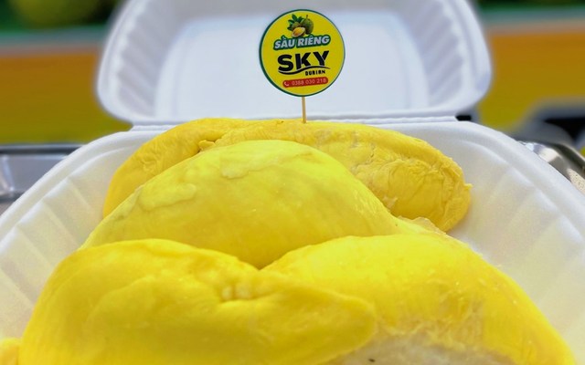 Sầu Riêng Sky - 32 Núi Thành