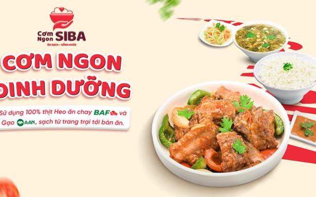 Cơm Ngon Siba - 108 D1 Trần Huy Liệu