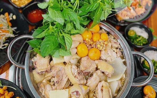 Lẩu Gà Lá É Tao Ngộ Phú Yên - 240 Đống Đa