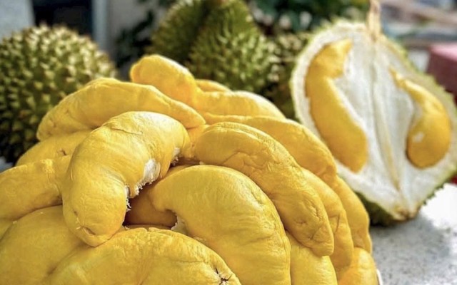 Sầu Riêng - Kim Farm Group CN1