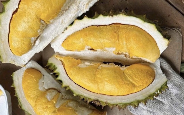 Sầu Riêng - Kim Farm Group CN2