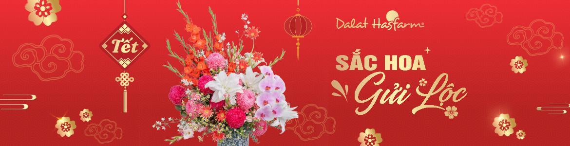 Dalat Hasfarm Miền Nam