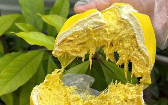 Bánh Crepe, Sầu Riêng & Ăn Vặt Thập Cẩm - KDC Việt Sing