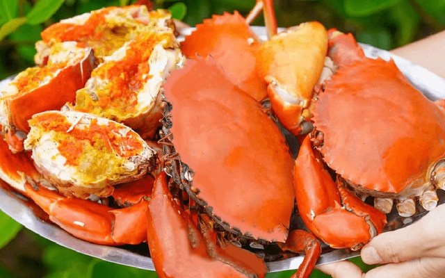 Cháo & Hàu Sữa Nhà Gạo