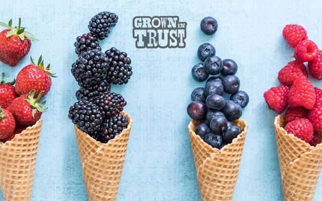 TEST - Fanny Ice Cream (self deli-pickup)