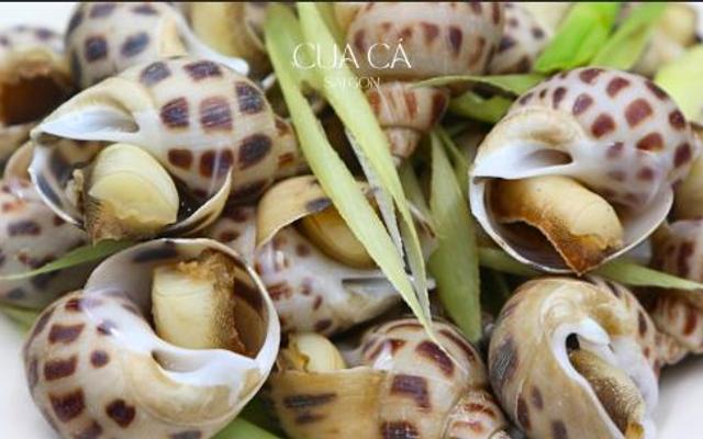 Cua Cá Sài Gòn - Ốc Hương & Cua Cà Mau - Lâm Văn Bền
