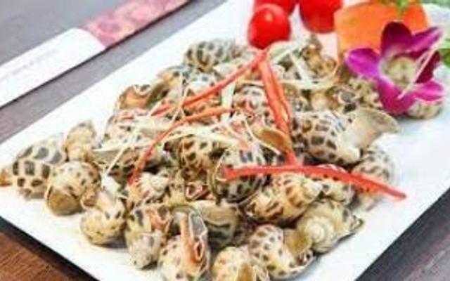 Ốc Như Ý - Song Hành