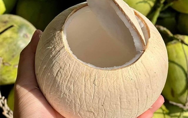 DỪA CHẠM