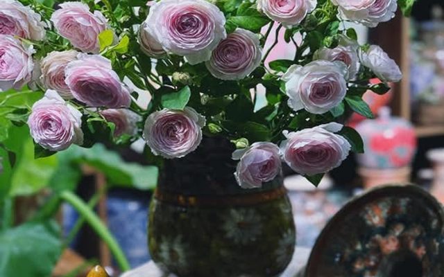 QA Test - Yellow - Oct 2025