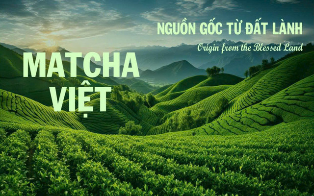 Nha Trang Tea Connect