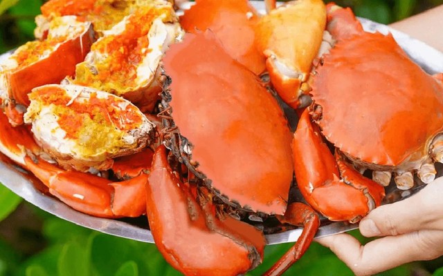 Vitamin Cua - Tiệm Cua Q8