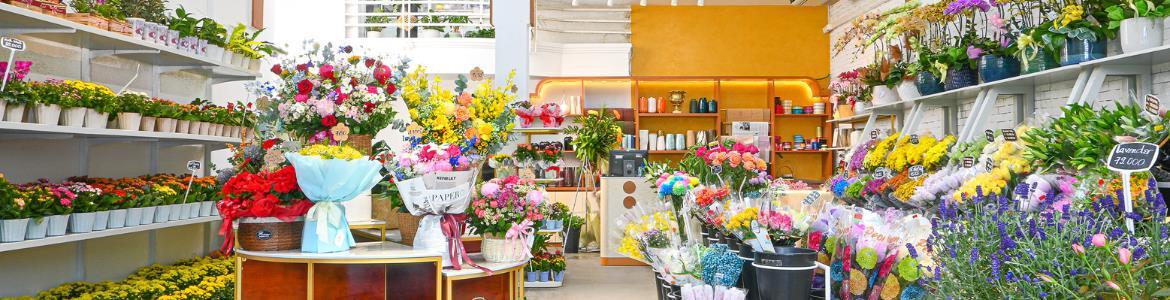 Dalat Hasfarm Miền Nam