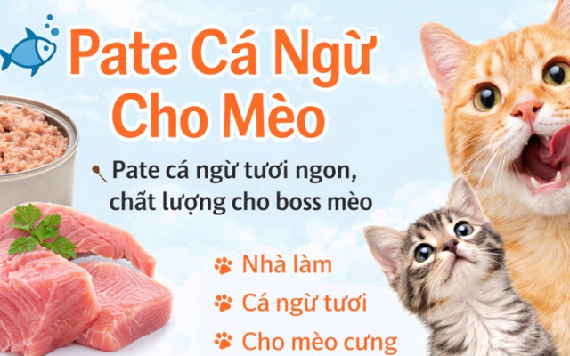 Meow Meow Cá Ngừ - Pate - Nguyễn Văn Lạc