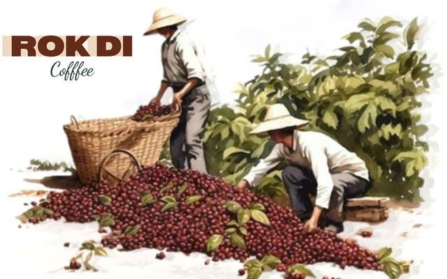 ROK DI COFFEE - 2267/1B An Phú Đông