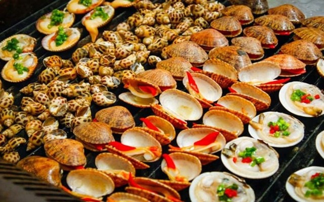 Ốc Tự Nhiên SG2 - Trần Trọng Cung