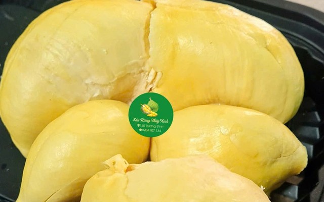 Sầu Riêng Thuỷ Xinh - 140 Trương Định