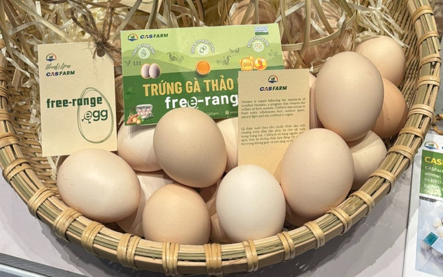 Tươi & Ngon - Thực Phẩm Sạch - Online